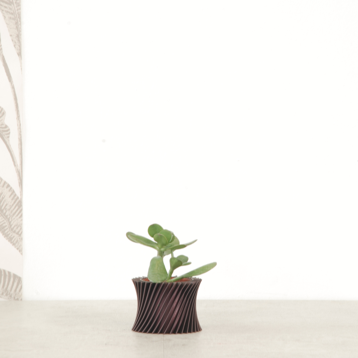 Cache-pot 3D CORNEILLE TWIST