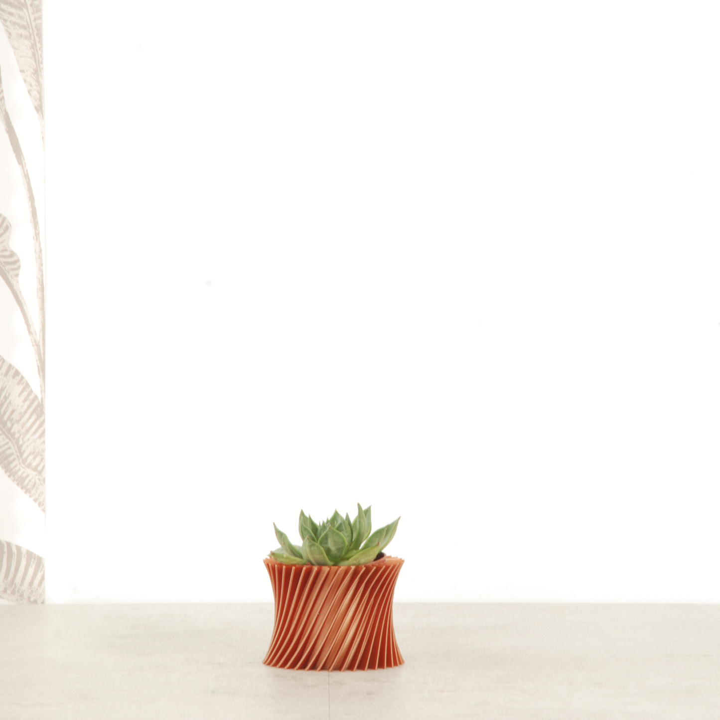 Cache-pot 3D CORNEILLE TWIST